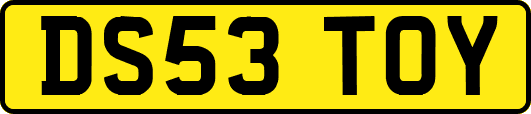DS53TOY