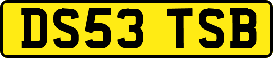 DS53TSB