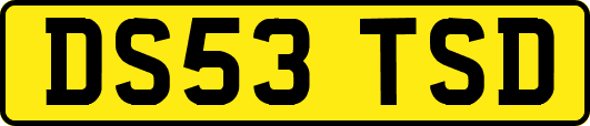 DS53TSD