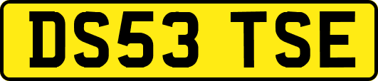 DS53TSE