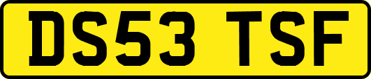 DS53TSF