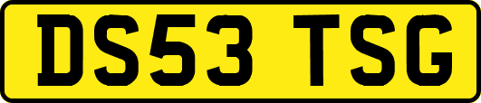 DS53TSG