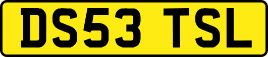 DS53TSL