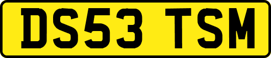 DS53TSM