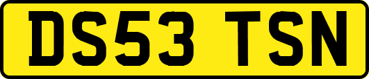 DS53TSN