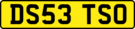 DS53TSO