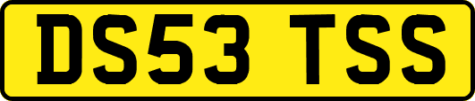 DS53TSS