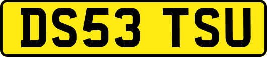 DS53TSU