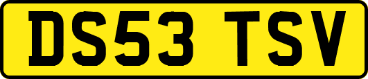 DS53TSV