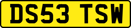DS53TSW