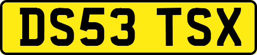 DS53TSX