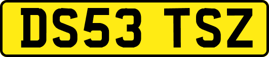DS53TSZ