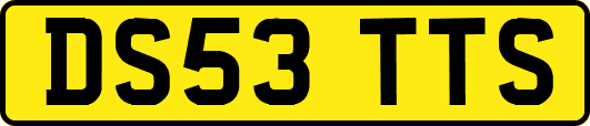 DS53TTS