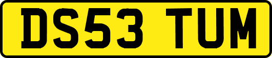 DS53TUM