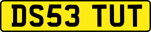 DS53TUT