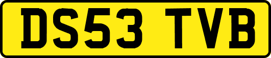 DS53TVB