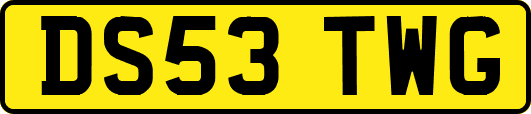 DS53TWG