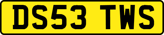 DS53TWS