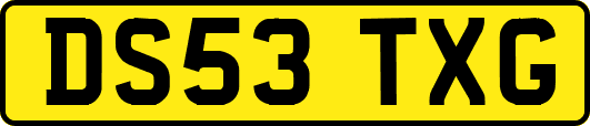 DS53TXG