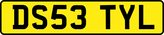 DS53TYL