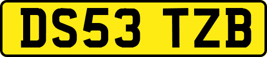 DS53TZB