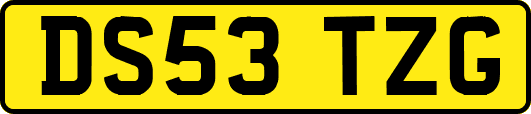 DS53TZG