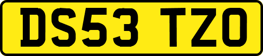 DS53TZO