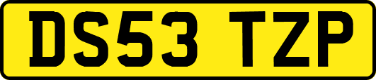 DS53TZP