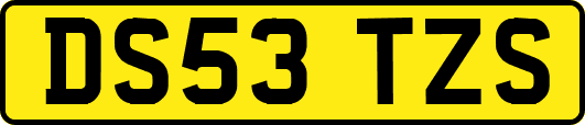 DS53TZS