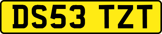 DS53TZT