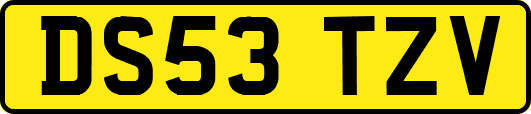 DS53TZV