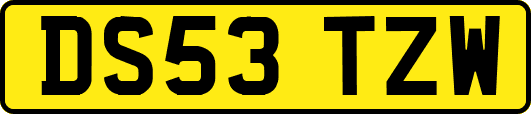 DS53TZW