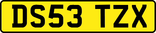 DS53TZX