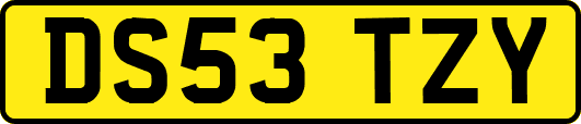 DS53TZY