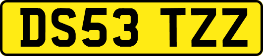 DS53TZZ