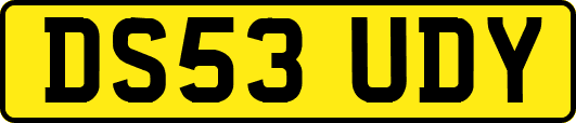DS53UDY