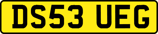 DS53UEG