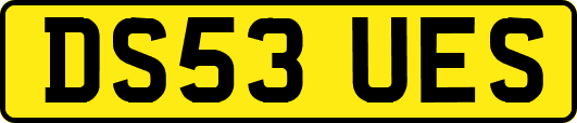 DS53UES