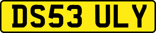 DS53ULY
