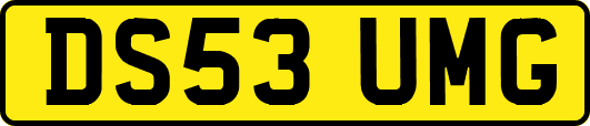 DS53UMG