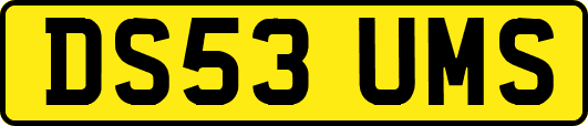 DS53UMS