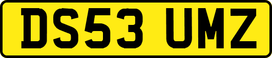 DS53UMZ