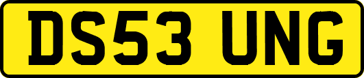 DS53UNG