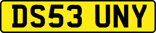 DS53UNY