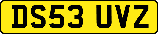 DS53UVZ