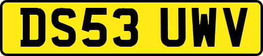 DS53UWV