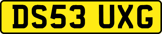 DS53UXG