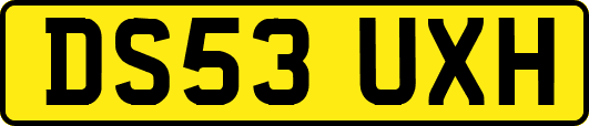 DS53UXH