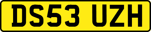 DS53UZH