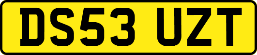 DS53UZT